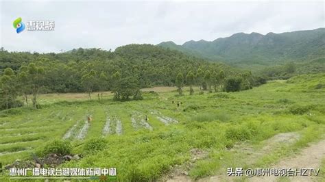 惠東稔山